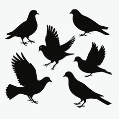 Fototapeta premium Pigeon Bird Silhouettes Set – Flying and Standing Pigeons Vector Illustration. silhouettes of birds. set of pigeon birds. birds silhouettes set.