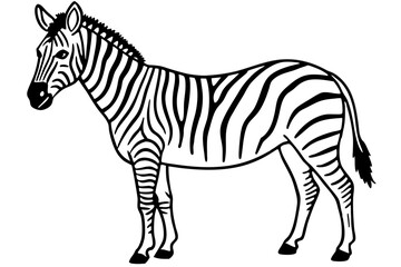 Abstract Zebra Outline