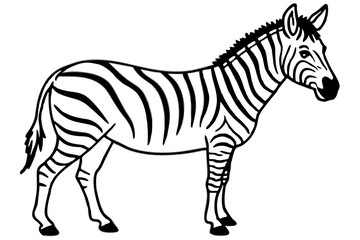 Abstract Zebra Outline