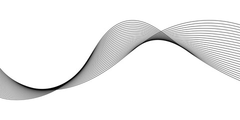 Fototapeta premium Abstract Curved Black and White Line Wave Background