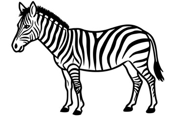 Abstract Zebra Outline