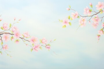 Obraz premium Cherry blossom backgrounds outdoors flower.