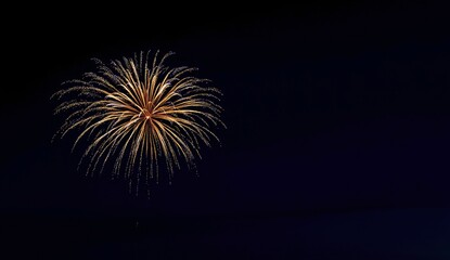 Golden Fireworks Burst Against a Dark Night Sky