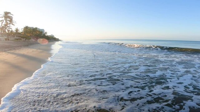 Coastal landscape with waves breaking on beach, calmly flowing water, Sea of ​​Cortez and horizon against clear blue sky in background, winter morning in Nuevo Vallarta, Nayarit, Mexico. Walking shot