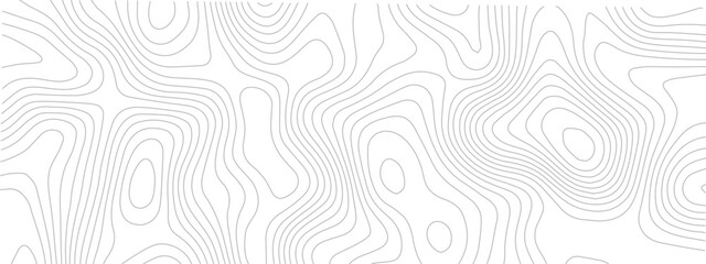 Abstract topography pattern lines sea map area space geometric strip grid line topo map technology modern design white background.