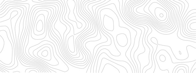 Abstract topography pattern lines sea map area space geometric strip grid line topo map technology modern design white background.