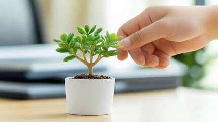 A hand gently touches a small, potted plant, sitting on a wooden desk in a bright room.