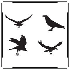 Fototapeta premium Crow silhouette, Crow illustration ,Crow clipart, Crow vector ,Crow icon , black Crow ,Crow illustration on white background, Crow vector illustration ,