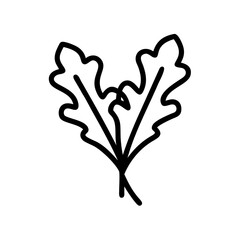 Arugula 