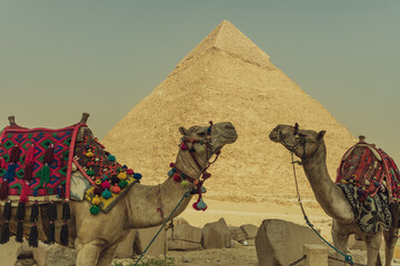 Travel World Wonders Buildings