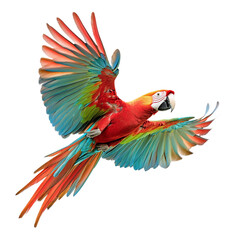 Obraz premium Green red winged macaw flying isolated on transparent background.