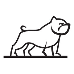 bull dog illuw54q5ion 