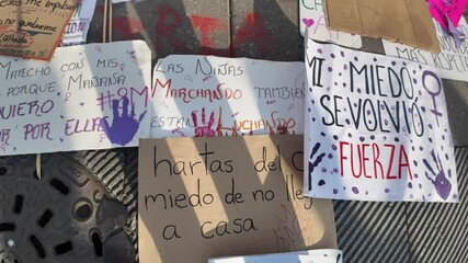 Mexico City, Mexico, 8 03 2025 A sign with the words "mi miedo sevolvi" written on it. The sign is purple and white