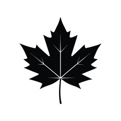 maple leaf vector illustration