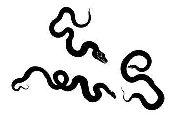 Simple black snake silhouette on a white background, curvy shape,Tribal Tattoo Designs.