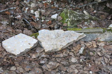 stone ruins of the ancient blown-up church of the Icon of the Mother of God of the Sign in the village of Kurovo, Russia (bricks, foundation, marble slabs)