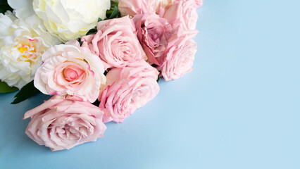 Blooming pink rose flowers