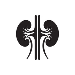 black kidneys of human anatomy. Illustration of human kidney organ.