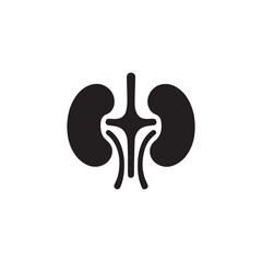 black kidneys of human anatomy. Illustration of human kidney organ.