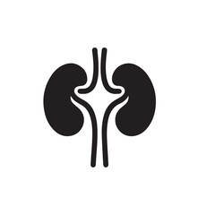 black kidneys of human anatomy. Illustration of human kidney organ.