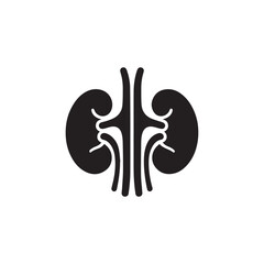 black kidneys of human anatomy. Illustration of human kidney organ.