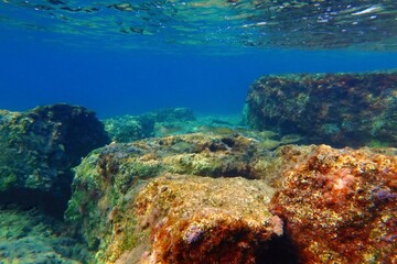 Beautiful underwater seascape,school of swimming fish in the ocen. Sea surface with fish and blue sea. Marine life, travel photo. Snorkeling with the marine life, underwater travel photography.