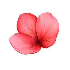 Vibrant pink flower petal isolated on white background.