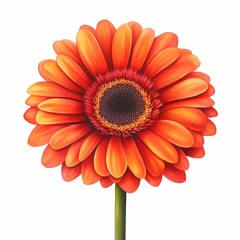Vibrant orange flower with striking petals.