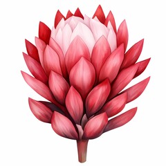 Vibrant red flower with layered petals.