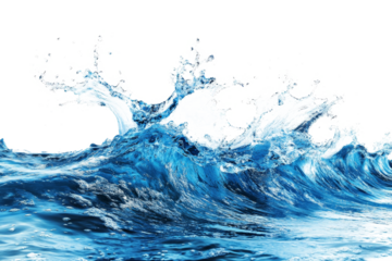 water splash on white background cutout image and isolated on transparent background 