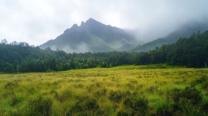 Obraz premium Misty Mountain Landscape