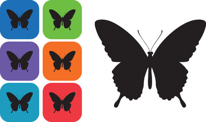 set of butterflies isolated on white