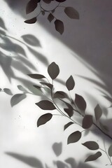 Green plant with shadows on white wall background. Suitable for backgrounds, textures, interior design blogs and projects related to nature and minimalism.