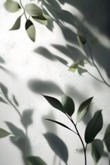 Green leaves cast shadows on white wall background. Suitable for backgrounds, textures, interior design blogs and projects related to nature and minimalism.