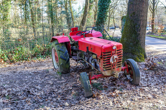 An old, broken-down red tractor abandoned on ground covered with dry leaves at entrance to farm, tree trunks with climbing plants in background, Herkenbosch, Limburg, Netherlands