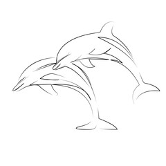 One continuous line art drawing flat illustration dolphin, ocean, water, sea, aquatic, underwater, animal, blue, mammal, wildlife. Isolated image hand draw outline on white background