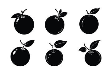 Huckleberry – Gaylussacia spp. silhouette vector illustration