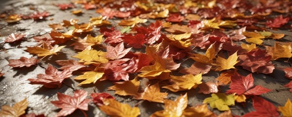 Sun-drenched autumn leaves, crinkled surface, rich color,  natural autumn leaf,  element