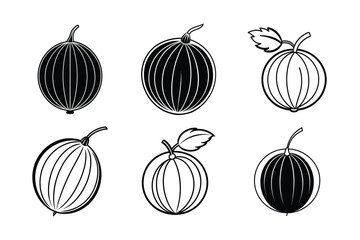 Indian Gooseberry (Amla) – Phyllanthus emblica line art vector illustration