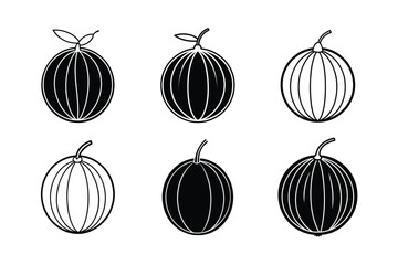 Indian Gooseberry (Amla) – Phyllanthus emblica line art vector illustration