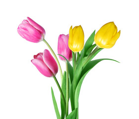 Fototapeta premium Bouquet of five pink and yellow tulips close up isolated on white background