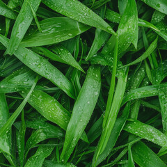 Seamless green foliage pattern with lush leaves and water droplets