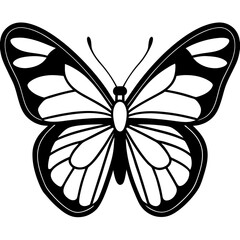 Black vector butterfly silhouette, a spring nature illustration