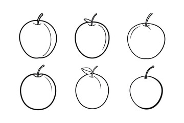 Indian Gooseberry (Amla) – Phyllanthus emblica line art vector illustration