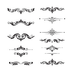 vintage calligraphic design elements vector set with ornate borders and flourishes
