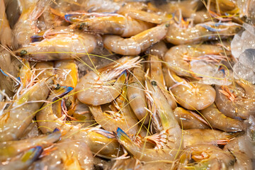 新鮮な生のエビ