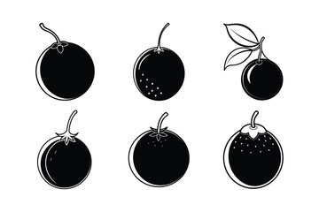 Jabuticaba – Plinia cauliflora line art vector illustration