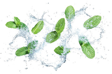 mint water splash with mint leaves isolated on white background cutout image and isolated on transparent background 