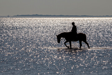 Nordseeimpression mit Pferd und Reiter im Gegenlicht
