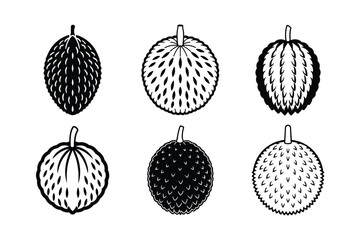 Jackfruit – Artocarpus heterophyllus line art vector illustration